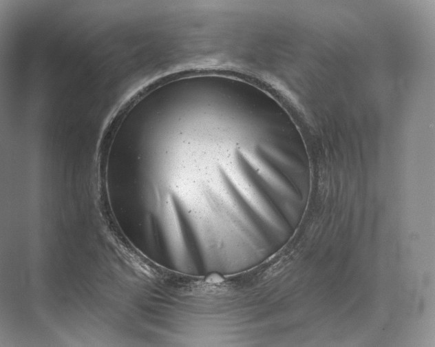 X0000073531270200608141017