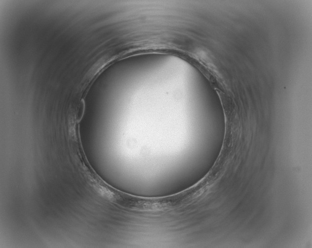 X0000073531273200608141017