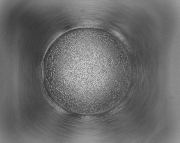 X0000073531275200608141017