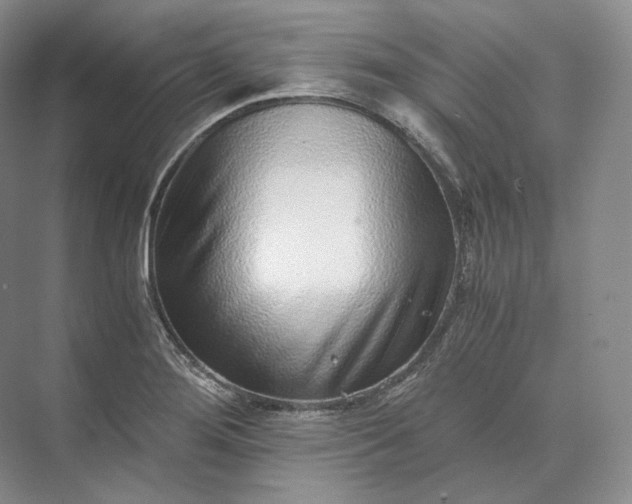 X0000073531276200608141017