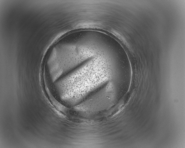 X0000073531277200608141017