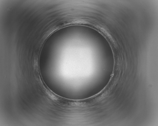 X0000073531281200608141017