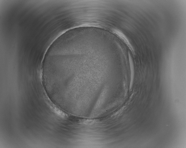 X0000073531284200608141016