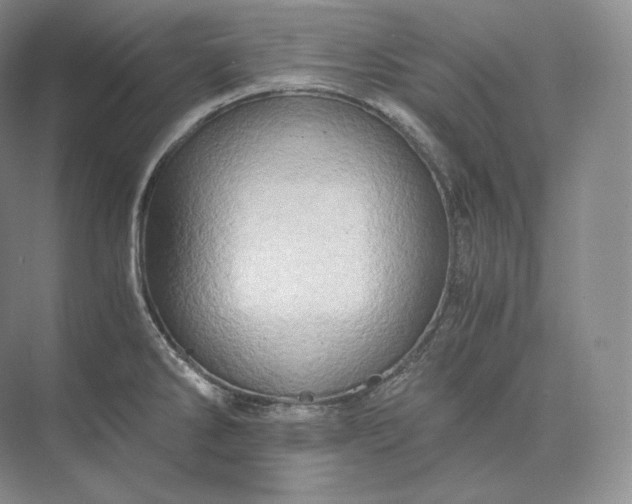 X0000073531286200608141016