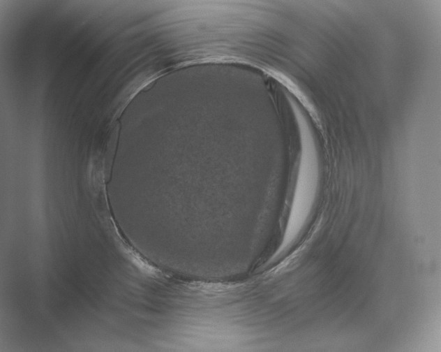 X0000073531289200608141016