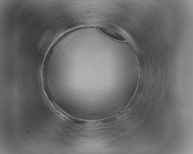 X0000073531291200608141016