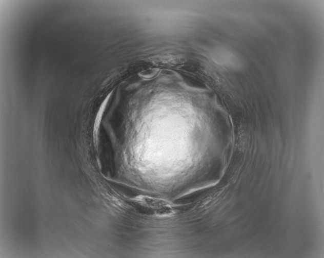 X0000073531297200608141015