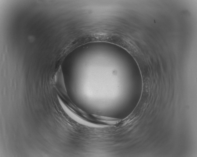 X0000073531298200608141015