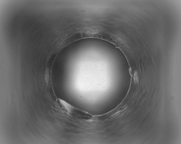 X0000073531299200608141015