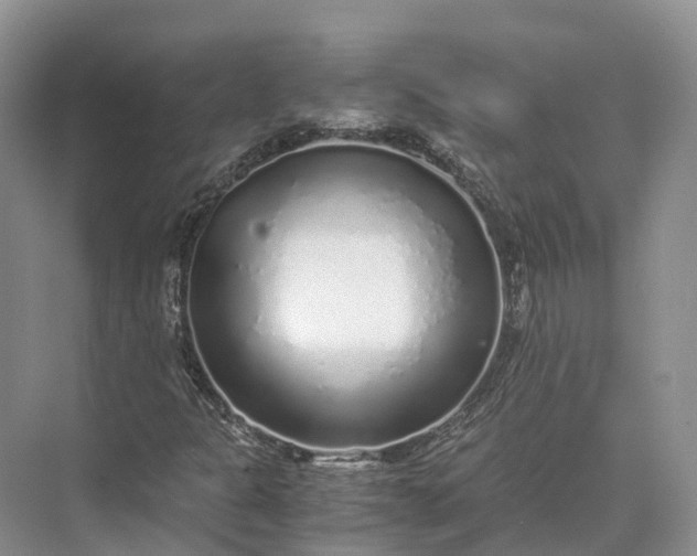 X0000073531301200608141016