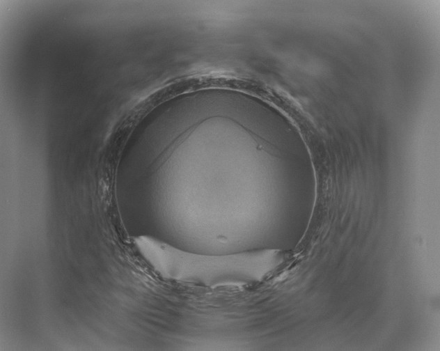 X0000073531303200608141016