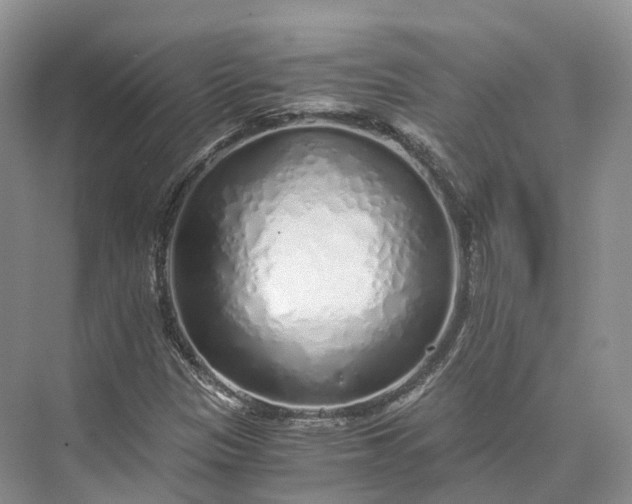 X0000073531305200608141016