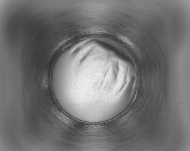 X0000073531306200608141016