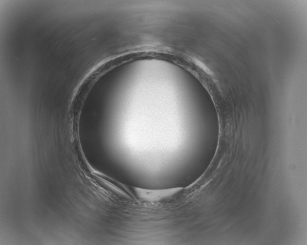 X0000073531310200608141016