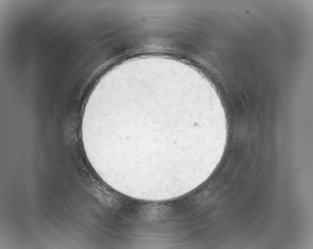 X0000073531314200608141016