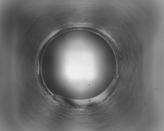 X0000073531317200608141016