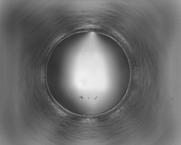 X0000073531321200608141016