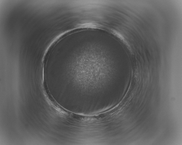 X0000073531323200608141016