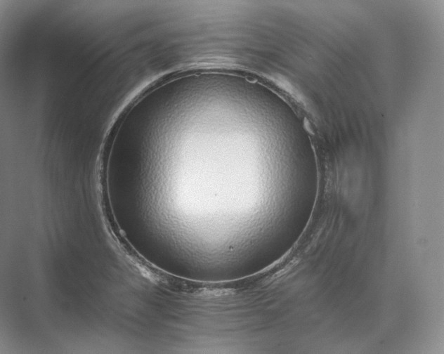 X0000073531325200608141016