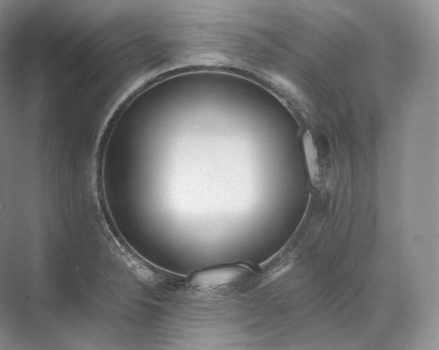 X0000073531326200608141016