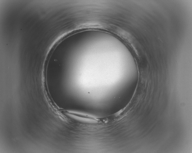 X0000073531328200608141016