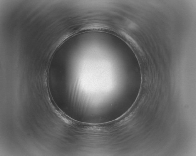 X0000073531329200608141016