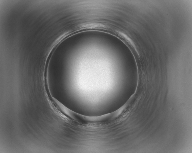 X0000073531330200608141016
