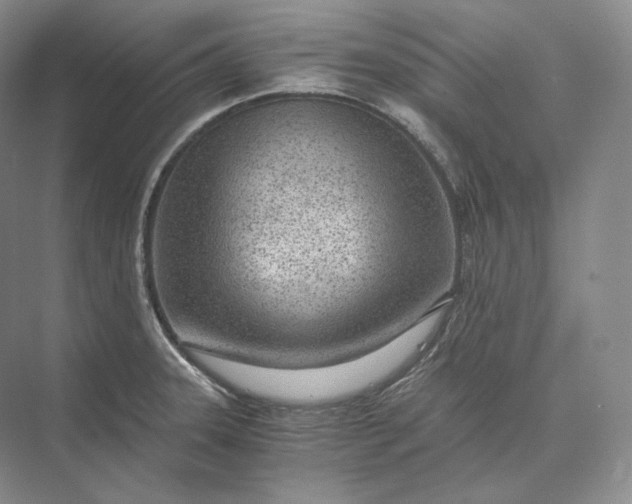 X0000073531331200608141016