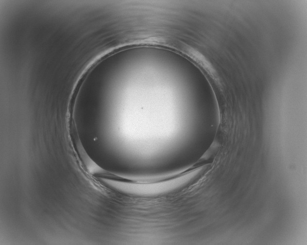 X0000073531332200608141016