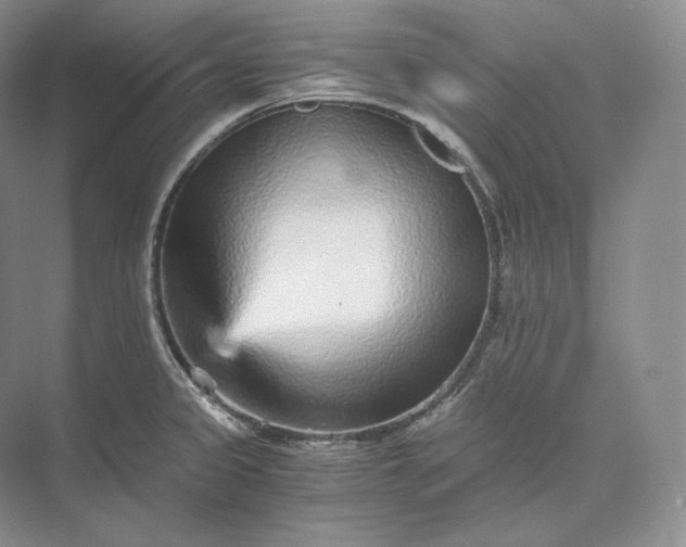 X0000073531333200608141016
