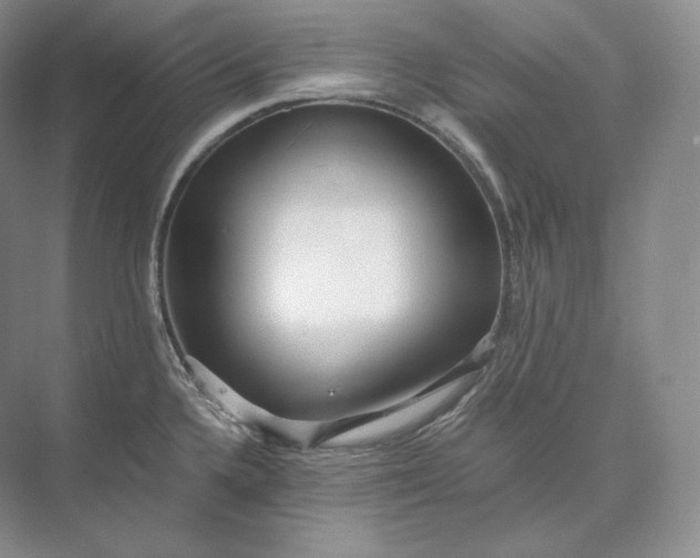 X0000073531336200608141016
