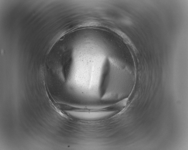X0000073531337200608141016