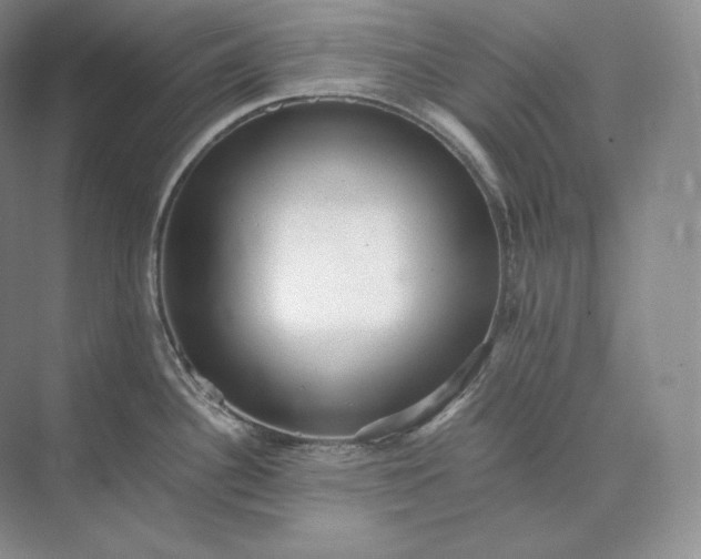 X0000073531340200608141016
