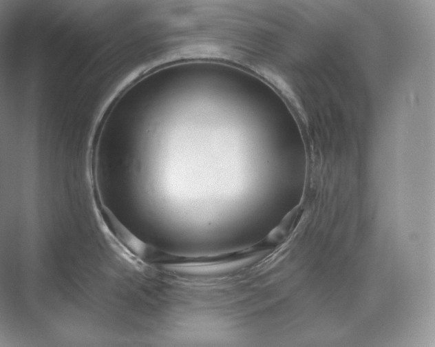 X0000073531342200608141016