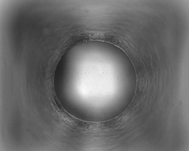 X0000073531345200608141015