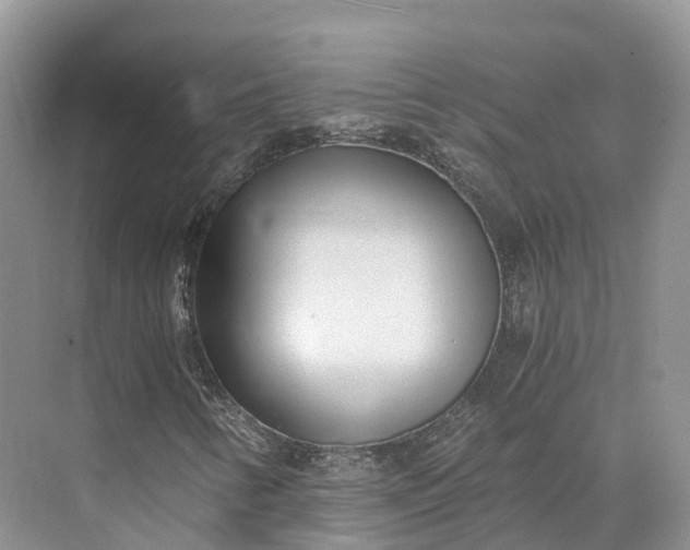 X0000073531346200608141015
