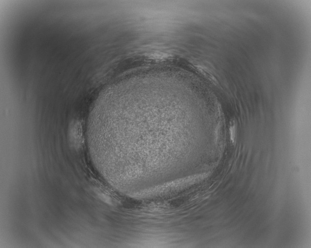 X0000073531347200608141015