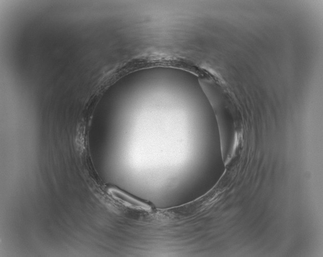 X0000073531348200608141015