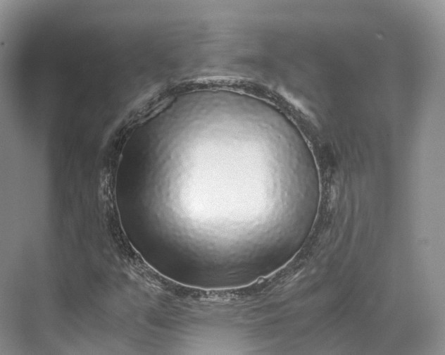 X0000073531351200608141015