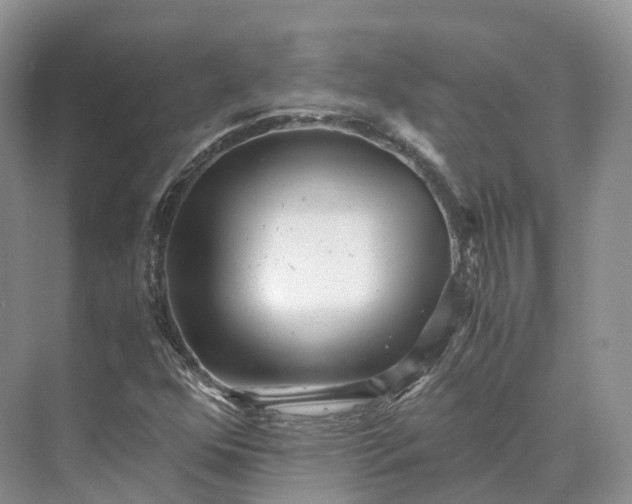 X0000073531352200608141015