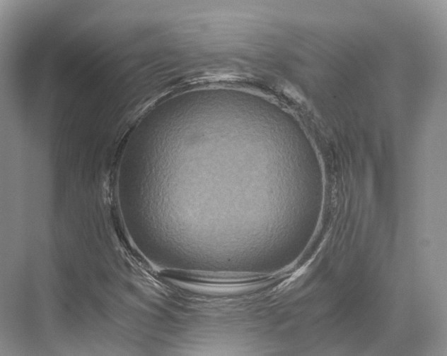 X0000073531353200608141015