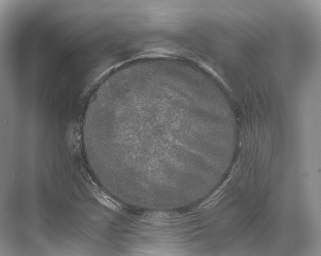 X0000073531355200608141015