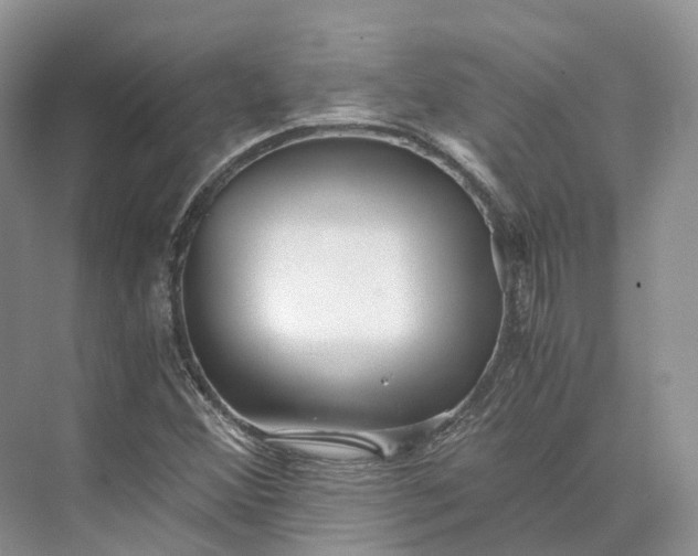 X0000073531356200608141015
