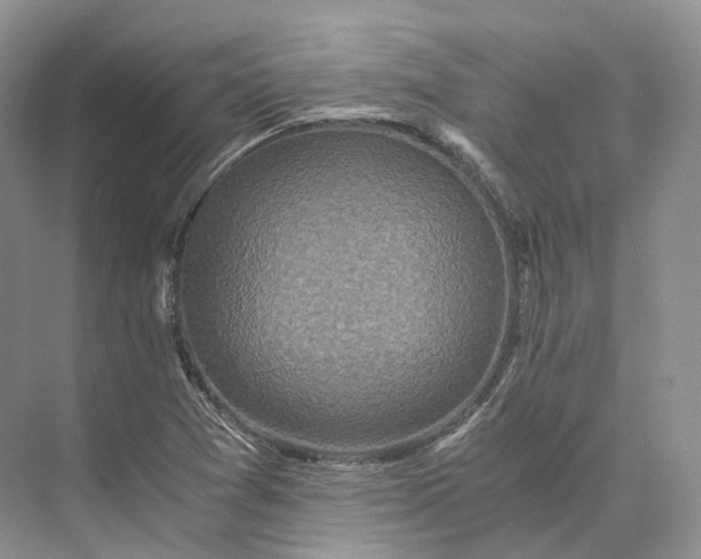 X0000073531361200608141015