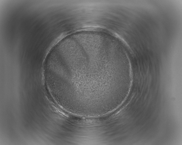 X0000073531362200608141015