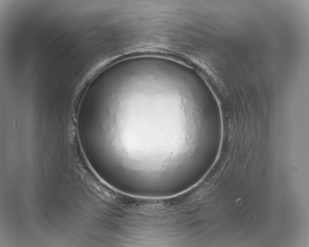 X0000073531363200608141015