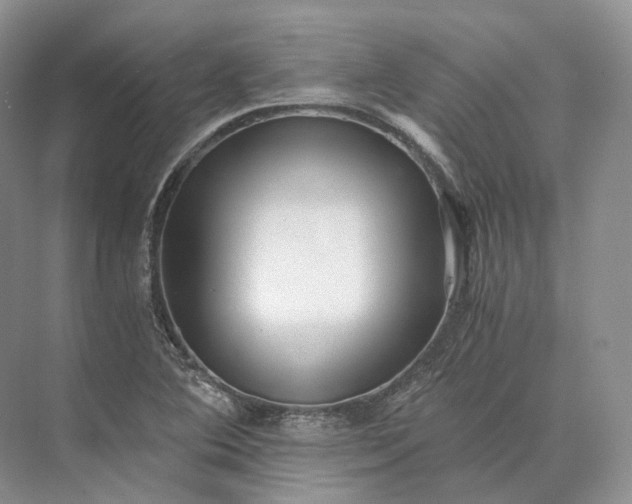 X0000073531364200608141015