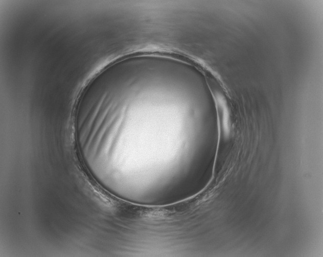 X0000073531367200608141015