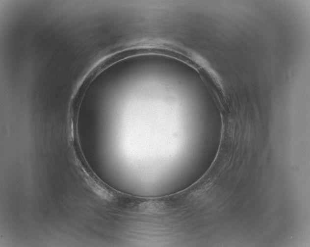 X0000073531368200608141015