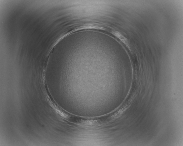 X0000073531369200608141015